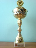 powiększ na 1024x768